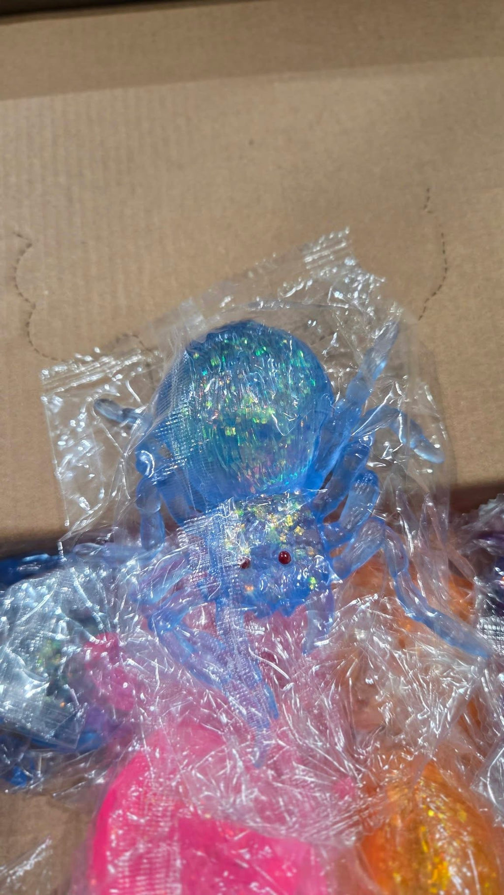 Sugar Squish Spider