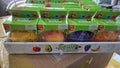Fruit Squishy